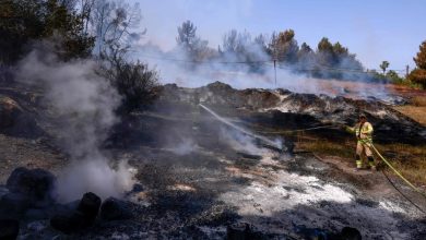 Israel reopens key road but Jerusalem wildfires rage for 2nd day