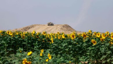 Israel to allow 'basic' aid into Gaza amid growing int'l pressure