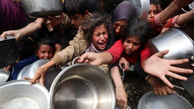 UNSC members sans US reject Israel's new Gaza aid delivery plan