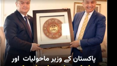 Uzbekistan and Pakistan to build green corridor Uzbekistan to Sindh Pakistan 2