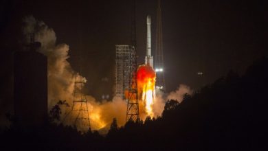 Chinese, Algerian presidents hail successful launch of communications satellite