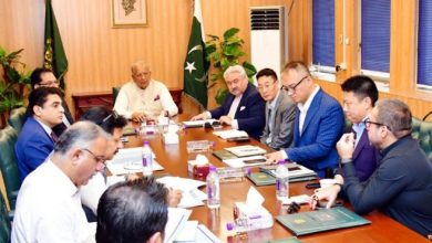 Chinese Firm Explores Investment Opportunities in Housing Sector of Pakistan NSN Asia 2025