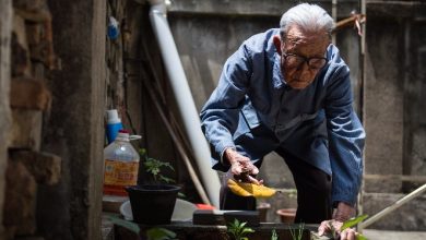 Oldest Nanjing Massacre survivor dies at 100