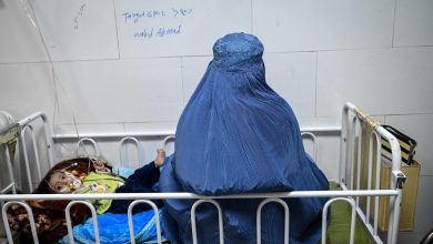 Afghan mothers on brink as child malnutrition reaches new high
