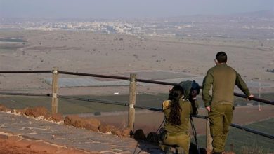Israel using chemicals on Lebanon, Syria farms may be 'war crime'