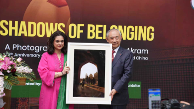 Cultural Diplomacy Through Art Fosters Pakistan China Ties