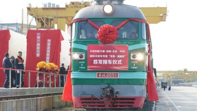 Shipment-of-390-tons-of-Bananas-Transported-by-China-Laos-Railway-Arrives-in-Beijing-China-NSN-Asia-2024-1 (1)