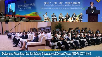 Chinas-Kubuqi-Desert-Offers-Model-