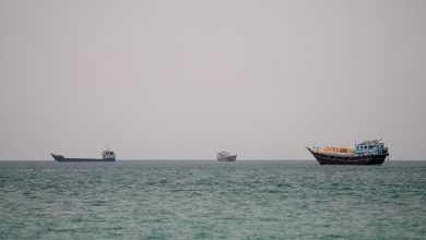 Iran says only it can clear Hormuz mines