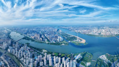 2026年中国文明乡风大会，为何选择临沂？