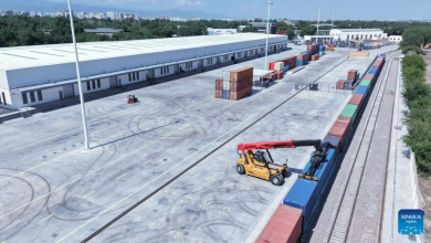 China-Europe freight train, an artery for growth between Xi'an and Almaty-Xinhua