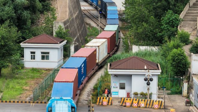 China-Kazakhstan (Lianyungang) Logistics Cooperation Base handles 8,000th int'l freight train-Xinhua