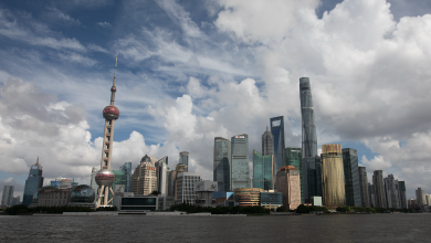 China's new action plan opens more opportunities for foreign investors