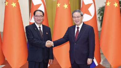 Chinese premier holds talks with premier of DPRK cabinet