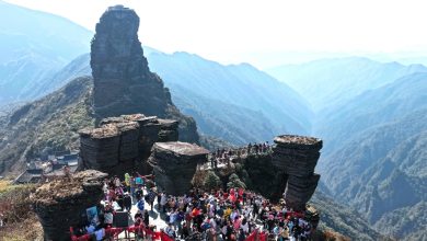 Free Guizhou world heritage entry with film tickets