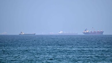 Iran to tankers: Use approved Hormuz routes or face 'forceful response'