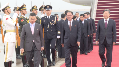 Premier of DPRK cabinet Pak Thae Song arrives in Beijing