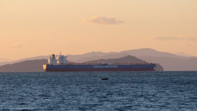 Saudi Arabia seeks coalition to safeguard Red Sea shipping: Sources