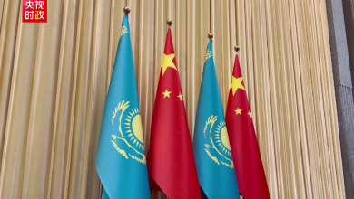 Xi Jinping meets Kazakh president