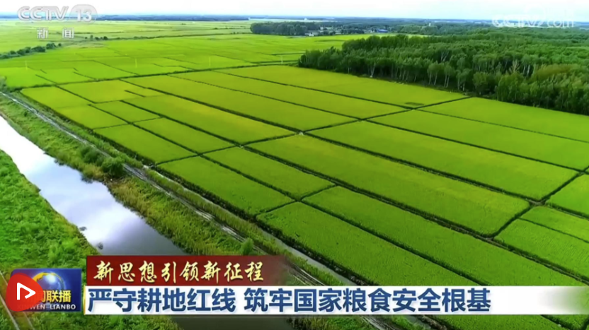 【新思想引领新征程】严守耕地红线 筑牢国家粮食安全根基