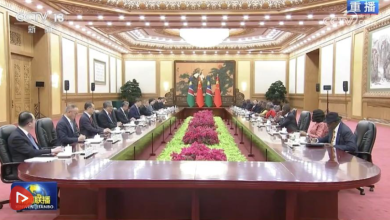习近平同纳米比亚总统恩代特瓦会谈