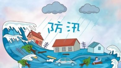 各地区各部门持续做好防汛防台风和灾后应急恢复工作 - 中国日报网