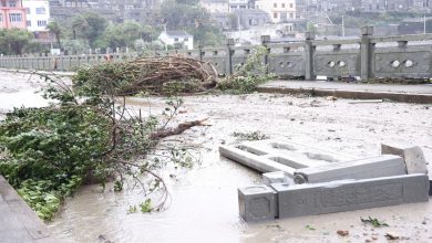 国家发改委安排1亿元中央预算内投资支持浙江灾后恢复