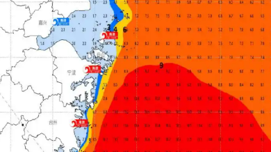 国家海洋预报台发布海浪红色警报、风暴潮橙色警报
