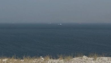 国际市场服务机构：霍尔木兹海峡通航量继续下降