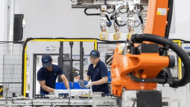 国际锐评丨经济半年报里的“中国机遇”