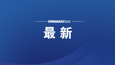 广西横州镇龙乡11个行政村道路已通