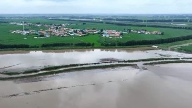 强降雨致辽吉多地出现汛情 两地全力筑牢防汛安全防线