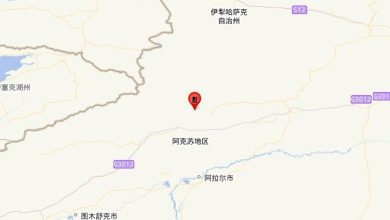 新疆阿克苏地区拜城县发生4.2级地震 震源深度10千米 - 中国日报网