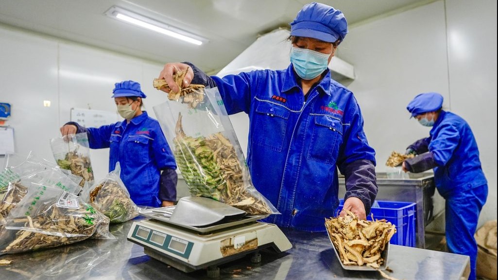 用开水浸泡中药饮片，汤药效果更佳……是真是假？| 谣言终结站