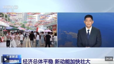 视频丨未来中国经济如何更好行稳致远？专家解读