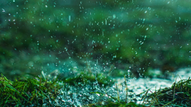 雨、高温、强对流三预警齐发 山东、广西等地部分地区有大暴雨