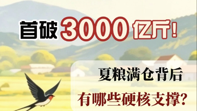 首破3000亿斤！夏粮丰收的“硬核支撑”