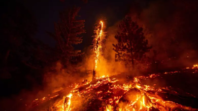 高温干旱加剧火情 意大利多地林火持续