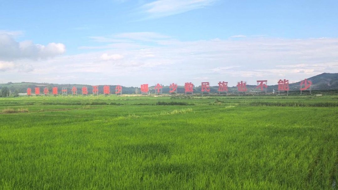 黑土绽芳华——吉林高质量发展一线调研报告