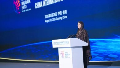 CM Punjab Invites Chinese IT Giants for Investments in Nawaz Sharif IT City NSN Asia b
