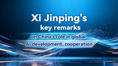 Xi Jinping's key remarks on China's role in global AI development