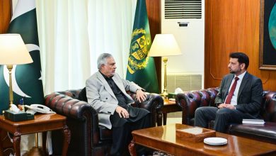 Ambassador designate Ali Asad Gilani calls on DPM Ishaq Dar as Pakistan and China mark 75 years of ties and shift focus to CPEC 2.0