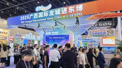 China and ASEAN Align on AI, E-Commerce and Green Growth in Nanning – SILK ROAD NEWS