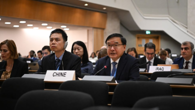 Chinese envoy: China urges improved global human rights governance