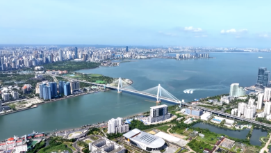 Hainan's digital reporting system streamlines grassroots governance